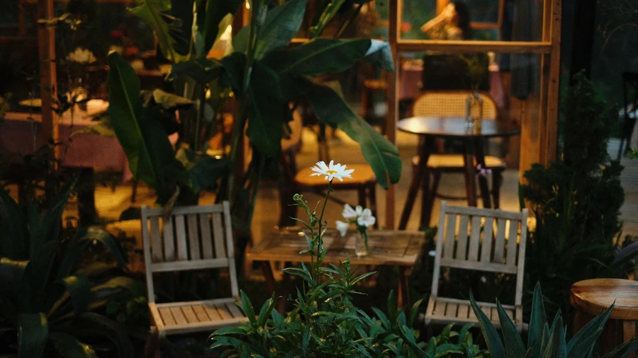 La terrasse du restaurant Le Komo le soir, entre plantes tropicales et lumières chaudes